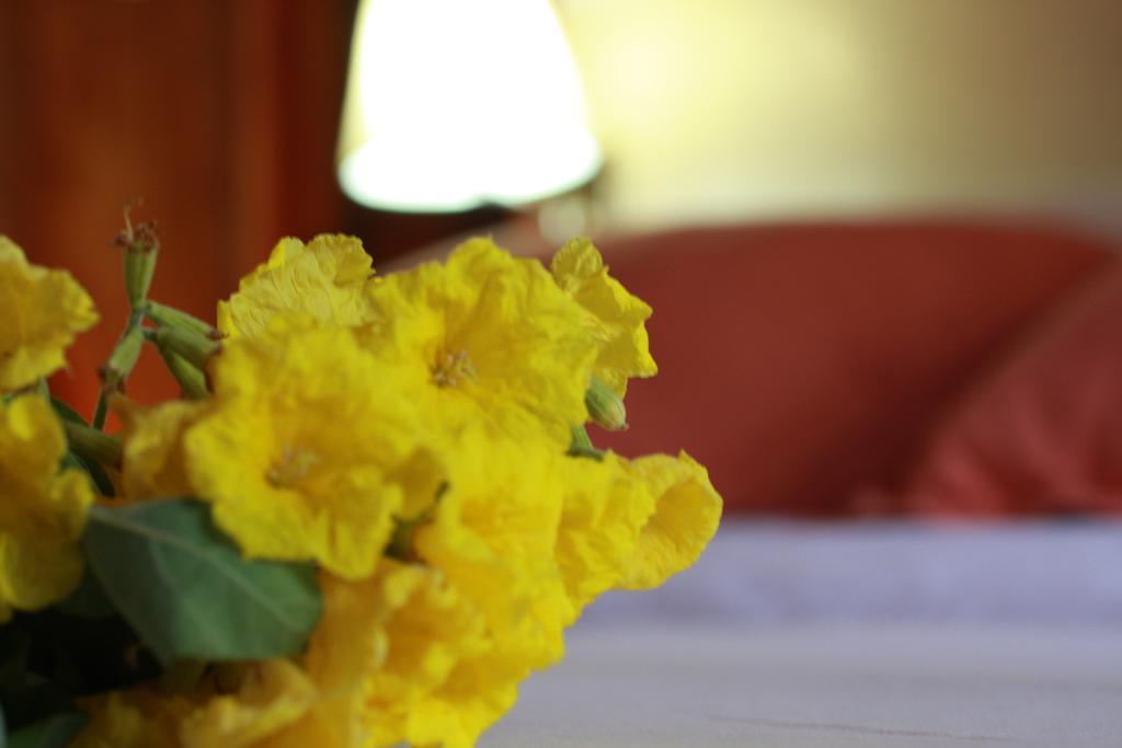 The Wooden House Hotel ปวยร์โต วิลยามิล ภายนอก รูปภาพ
